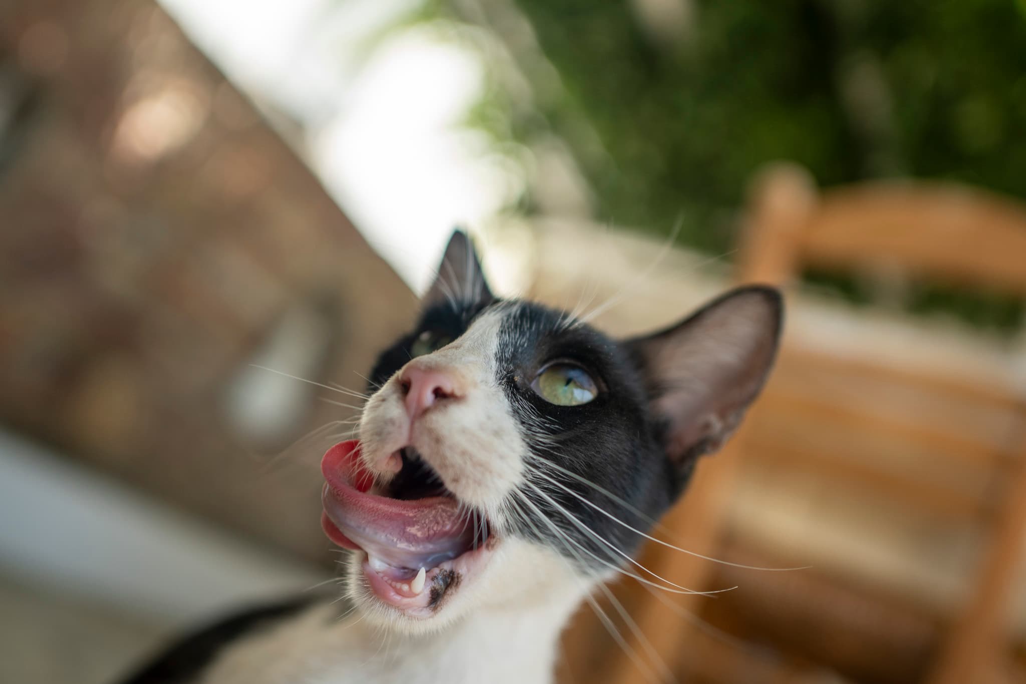 Greece 5 -- Final Days