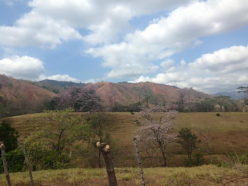 Panama travel photo three