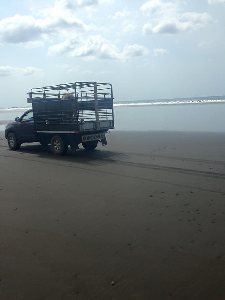 Panama travel photo six