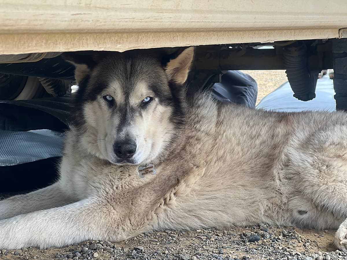 Hills and trails near San Carlos