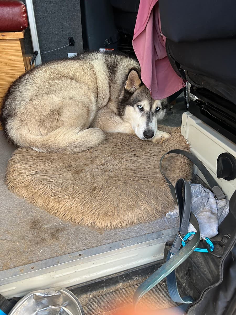 koda in van